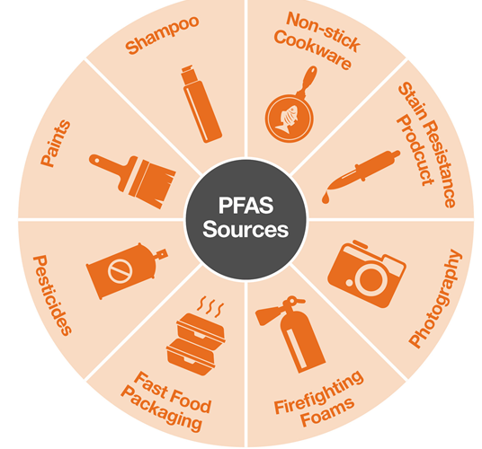 What Are PFAS And How Do We Remove Them From Our Body?
